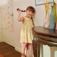 ราคา lookbookpetite bee dress yellow tiny flower เดรสเด็ก แขนกุด สีเหลือง ลายดอก (1731888683507418642)