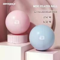 ราคา yoga ball amyup ลูกบอลโยคะ 25 เซนติเมตร บอลโยคะ ลูกบอลออกกำลังกาย Mini Yoga Ball 25cm ฟิตบอล (1732033594433046272)