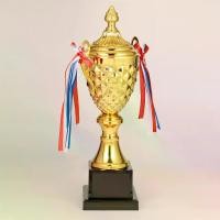 ราคา ถ้วยรางวัลโลหะสีทอง 1 ชิ้น พร้อมริบบิ้น ดีไซน์หรูหรา เหมาะสำหรับทัวร์นา กีฬา การแข่งขัน และของขวัญปาร์ตี้สำหรับผู้ใหญ่ ทำจากวัสดุ ABS/เหล็ก เหมาะสำหรับการเฉลิมฉลองและการรับรู้ รวมขาตั้งเหรียญ (1732021