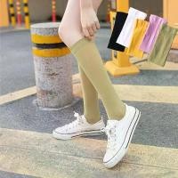 ราคา ถุงน่องผ้าไหม สำหรับผู้หญิง ถุงน่องใต้เข่า ยาว สีพื้น ทำจากผ้าควิลท์ สไตล์เกาหลี แฟชั่น Clothing Lady Women เสื้อผ้า ถุงเท้า กางเกงถุงน่อง ขาว ผู้ ใหญ่ พยาบาล ฟองน้ํา เสริม (1731050455708436780)