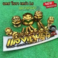 ราคา vajidahudaba ความคงทน ชุดน็อตแผงคอ-น็อตอุดหัวโช๊ค+ชุดน็อตปรกับชุดใหญ่ สีทอง สำหรับ โนวา เทน่า LS แดช (1731804665505940502)