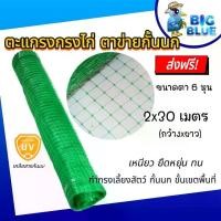 ราคา COD จัดส่งฟรี !!!ตะแกรงกรงไก่พลาสติก ตาข่ายพลาสติก สีเขียว 2ม.x30ม.(6หุน) รหัส13580023 ตาข่ายล้อมรั้ว ดักสัตว์ (1731740208906995470)