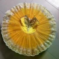 ราคา ชุดเต้นบัลเล่ต์ สำหรับเด็ก สีเหลือง ชุดการแสดง กระโปรง Tulle กระโปรงตูตู เหมาะสำหรับเกรดและฝึกซ้อม (1732181220464166389)