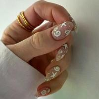 ราคา เล็บสวมใส่ได้, การออกแบบดาวเปลือกหอยมหาสมุทรเรียบง่าย, 24 ชิ้น / ชุด, เล็บปลอม, สติ๊กเกอร์ติดเล็บขายร้อน, เล็บอัลมอนด์, เล็บ (1731476864878544321)