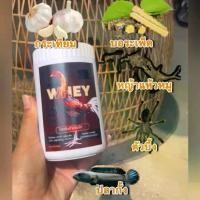 ราคา เวย์ไก่ เวย์โปรตีนไก่ บินดีไม่มีตก วิ่งอึด วิ่งทน เสริมกร้ามเนื้อ บำรุงไก่ชน เสริมกระดูก หน้าแดง เดือย เล็บ (1730307407768029452)