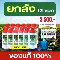 ราคา เซ็ตใจถึง ดินเน่า (Din Nao) ปรับสภาพดิน (ดินเน่า 12 ขวด +ดินปราบมาร 4 + เสื้อ 1) (1731999871243814763)