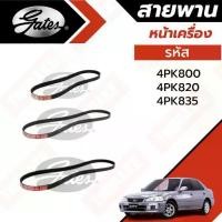 ราคา Gates สายพานหน้าเครื่อง (แอร์ ไดชาร์ท เพาเวอร์) HONDA ฮอนด้า CITY TYPE Z ปี 1996-2002 (1732122487997892056)