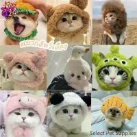 ราคา Select Pet Supplies 【GZF】 COD Hat Cat Hats Dog Hats For Cats Cats, Panda, Panda, Halloween Pork, Cat Dog (1732208869708170502)