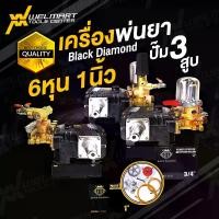 ราคา ปั้ม 3 สูบ ขนาด 6 หุน และ 1นิ้ว ปั้มพ่นยา 3 สูบ Black Diamond แบล็กไดม่อน ปั๊ม 3 สูบ เครื่องพ่นยา (1731726658777942602)