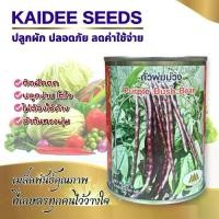 ราคา เมล็ดถั่วพุ่มม่วง Purple Bush Bean ตราภูเขาทอง เมล็ดพันธุ์ถั่วพุ่มม่วง เมล็ดถั่วพุ่ม ถั่วพุ่มม่วง ถั่วฝักยาวไร้ค้าง (1729826533610392133)