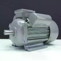 ราคา มอเตอร์ไฟฟ้า TAKA 0.5 HP ขนาดแรงดัน 220V กระแสสลับ 1 เฟส มอเตอร์ มอเตอร์มิเนียม ประกัน 3 เดือน (1732150865901226856)