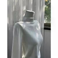 ราคา เสื้อยืดกำมะหยี่มะพร้าว, ครึ่งคอเต่า, เสื้อถัก, แขนยาว, สำหรับผู้หญิง, ฤดูใบไม้ร่วงฤดูหนาว, เสื้อฐานขัดหนา, เสื้อคอปกลางชั้นใน เสื้อ ชีฟอง ลูกไม้ ขอบ คอวี snake skin clothe (1732155302237997493)