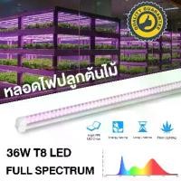 ราคา GrowSmart ชุดหลอดไฟ LED T8 grow light 36W full spectrum 90cm 120cm ไฟปลูกต้นไม้ ไฟเพาะต้นอ่อน clone LED light LED Grow Tube for Indoor Plant LED tube ไฟแคคตัส ไฟปลูกพืช (1731973854146627244)