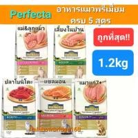 ราคา Perfecta Salmon Indoor Bonito Senior7+ Kitten & Mother 1.2kg Cat Perfecta Premium Cat Food Complete 5 Formulas Bag Size 1.2kg (1732198514187536357)