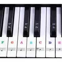 ราคา สติ๊กเกอร์ติดเปียโน ตัวโน๊ต สติ๊กเกอร์แปะเปียโน เมโลเดียน คีย์บอร์ด คอร์ด 61 88 คีย์ สำหรับ มือใหม่ piano sticker คลังสินค้า (1731887758770406758)