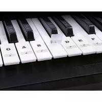 ราคา สติ๊กเกอร์ตัวโน๊ตติดเปียโน คีย์บอร์ด เมโลเดียน คอร์ด 61 88 คีย์ sticker piano สติ๊กเกอร์ใส ขายร้อน (1730948846773832380)