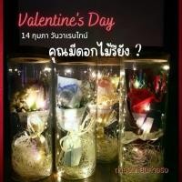 ราคา กุหลาบในโหลแก้ว มีไฟ LED ดอกกุหลาบ Valentine ดอกกุหลาบวาเลนไทน์ กุหลาบโหลแก้ว ช่อ ดอกไม้ ช่อดอกกุหลาบ ของขวัญพรีเมี่ยมวาเลนไทน์ ช่อกุหลาบ ช่อดอกไม้ กุหลาบในโหลแก้ว+ไฟตกแต่ง ของข (1731795717659527890)