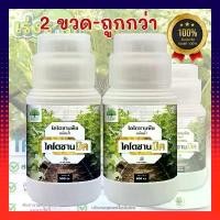 ราคา Chitosan, Plant Chitosan, Chitosan Mic, Plant Formula (1 Bottle, Size 500 cc) Injecting Chitosan Mic to Plants = Vaccinating Plants (1732014633436087317)