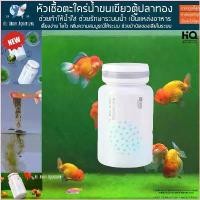 ราคา czx1561sdfshop สิทธิประโยชน์สดใหม่ในการจัดส่ง หัวเชื้อตะใคร่พรมขนเขียว สำหรับตู้ปลาทอง Goldfish Green algae Carpet ตะใคร่ ปลาทอง ตู้ปลา ปลา ปลาน้ำจืด ปลาสวยงาม รันชู (1730050296537713627)