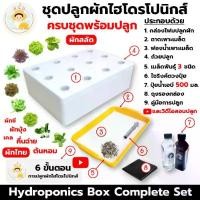 ราคา [พร้อมส่ง] (Plete Set,Ready To Plant) ชุดกล่องปลูกผักไฮโดรโปนิกส์,Plete Set Of Equipment,Ready To Plant กล่องปลูกผักพร้อมคู่มือปลูก (1731926221992723921)