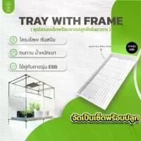 ราคา Tray With Frame ชุดโครงเหล็กพร้อมถาดปลูกพืช ปลูกผัก ปลูกต้นไม้ ปลูกพืชภายในอาคาร (1732285363727993404)