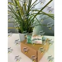 ราคา [Tiktok] Suzuki Swift 09246 Mt Ciaz Mt APV Mt carry1.5 & carry1.6 oil Gear nut, oil Gear nut Mt (16021-1.25-000) (1732400031444599941)