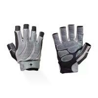 ราคา Harbinger | BioForm Gloves (1729600102005311831)