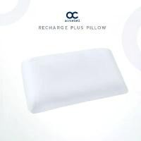 ราคา Acmebell Restart Plus Pillow หมอนหนุนขนาดใหญ่ หมอนหนุนใบใหญ่ (1732321802638165999)