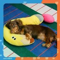 ราคา [ พร้อมส่ง] หมอนสัตว์เลี้ยง zeze Question Mark Pet Pillow หมอนรองคอ หมอนแมว สุนัข (1732212374754789239)