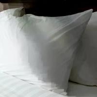 ราคา ปลอกหมอนหนุน ปลอกหมอนโรงแรม ปลอกหมอนสีขาว Cotton 100% 250 เส้น ลายเรียบ Pillow Case 20"x30"x6" (1731909106273977816)