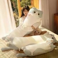 ราคา หมอนตุ๊กตาแมว สำหรับเด็กผู้หญิง ตุ๊กตาของเล่น นุ่ม นอนกอด หมอนนอน ยาว รองรับขา ตุ๊กตาตัวใหญ่ คอลเลคชั่นผู้คนจำนวน 25000 หมอน ชินจังจอมแก่น ซักเครื่อง ลดการสะสมแบคทีเรีย หมอนและห (1732321339004586681)