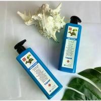 ราคา ODI CODI Shampoo แชมพูบำรุงรากผม 500 ml set 2 PCS. (1732146451153388594)