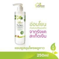ราคา แชมพูสมุนไพรพลูคาวแอ๊ดวานซ์ (Plu Kaow Herbal Advanced Shampoo) (1729490322148133156)
