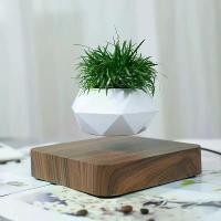 ราคา บอนไซแขวนแม่เหล็ก, สไตล์จีนสมัยใหม่, งานฝีมือพลาสติก ABS, แจกันหม้อดอกไม้กระถาง, เหมาะสำหรับตกแต่งบ้านและงานแต่งงาน, ของขวัญปาร์ตี้ วัวธนู หลวงปู่ หลุน ปล่อย พระ แท้ กระปุก (1732152639534106702)