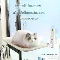 ราคา เตียงแมว, ถ้วยดูดแขวน, เหมาะสำหรับเตียง, ระเบียง, กระจก, รังแมว, ซุ้มหน้าต่าง, ข้างเตียง, อาบแดด (1731912581372609705)