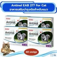 ราคา Antinol For Cat อาหารเสริมบำรุงข้อสำหรับแมว 1 กล่อง มี 60 แคปซูล (1731995928722507271)
