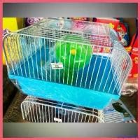 ราคา arspheshop แบบพกพา กรงหนู แฮมเตอร์พร้อมถาดทรงสูง วงล้อวิ่ง+ขวดน้ำ+ถาดใส่อาหาร (1730386562637859103)