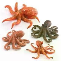 ราคา โมเดลสัตว์ทะเล, การออกแบบจำลอง, ปลาหมึก, ปลาหมึกนั่งบ้านหิน, สัตว์ใต้ทะเล, ของตกแต่ง, ของเล่นตกแต่ง (1732028742747260001)