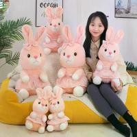 ราคา ตุ๊กตากระต่ายผ้าฝ้าย PP น่ารัก LIUYER คอลเลกชันขนปุย ตุ๊กตากระต่ายสีชมพู ตุ๊กตาของเล่น กระต่ายสบาย ของตกแต่ง ของขวัญ (1731926546793270006)