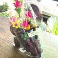 ราคา กระเช้าดอกกระเจียว ของตกแต่ง (1729456542924311166)