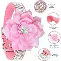 ราคา ปลอกคอสัตว์เลี้ยงพร้อม Rhinestones ปลอกคอสุนัขพร้อมป้ายชื่อแกะสลักป้องกันการสูญหาย ปลอกคอดอกไม้แบบถอดได้ toy บาร์ แมว accessories จาน ชาม อาหาร ยก สูง สาย จูง หมา สแตนเลส ข้าว ขอ (1732328278902081399)