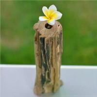 ราคา [COD] แจกันไม้สักโบราณรูปทรงแปลกตา ทำจากไม้จริง ใช้สำหรับตกแต่งบ้าน สามารถใช้สำหรับใส่ดอกไม้สดหรือดอกไม้แห้ง ดีไซน์สวยงาม ไม่เหมือนใคร ช่วยเพิ่มความมีชีวิตชีวาให้กับห้องของคุณ สต (1731703800517723715)