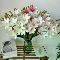 ราคา ดอกไม้ประดิษฐ์ มาใหม่ 5 ส้อม มัด มิลเลนเนียมแม็กนีเซีย ดอกไม้มือถือ ถ่ายภาพงานแต่งงาน พิมพ์ 3 มิติ ดอกไม้ปลอมเหมือนจริง ขายส่ง พระยอดขุนพล ของ แท้ พระสมเด็จวัดระฆัง ปี (1731726697667790309)