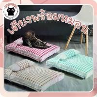 ราคา On-time ❤️เตียงสก๊อต+หมอน เตียงแมว เตียงสุนัข ที่นอนแมว ที่นอนสุนัข นุ่นหนา❤️ การเพาะเลี้ยงสัตว์น้ำ (1732300448454641317)