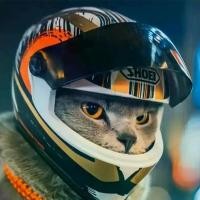 ราคา หมวกกันน็อคสัตว์เลี้ยง หมวกกันน็อคแมวขนาดเล็ก หมวกกันน็อคสุนัขขนาดเล็ก หมวกกันน็อคมอเตอร์ไซค์ผ้ากำมะหยี่ อุปกรณ์ สัตว์เลี้ยง (1732045022807360770)