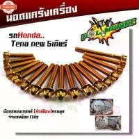 ราคา น็อตแคร้งเครื่อง TENA ใหม่ 5 เกียร์ เลสแท้ 1ชุด 17ตัว น็อตหัวเฟือง น็อตแคร้งเทน่า น๊อตแคร้งเทน่า น็อตแคร้งtena น๊อตแคร (1732335456371705269)