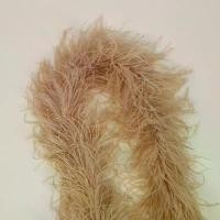 ราคา แถบขนนกกระจอกเทศ, หนา, หวีผมยาวห้าชั้น, ขนนกกระจอกเทศไหม, เครื่องประดับตกแต่งบ้าน, ตกแต่งวันหยุด, ตกแต่งปาร์ตี้, อุปกรณ์เสื้อผ้า, ตกแต่งเวที พลุ แบบ ดึง เชือก พวงมาลัย ไหว้ครู (1731683818741663246)