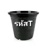 ราคา กุหลาบกระถาง รหัส T เลือกสินค้าระหว่างการไลฟ์สด พลุ ดึง เชือก ขันหมาก งานแต่ง สาย สะพาน ปัจฉิม ขันหมาก งานแต่ง พวงมาลัย กํามะหยี่ พาน วัน ไหว้ครู พาน วัน ไหว้ครู พวงมา (1732280129137051547)