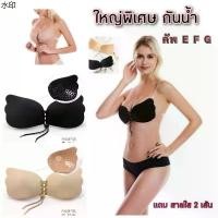 ราคา แนะนำ บราปีกนกเชือกรูด บราปีกนก บราปีกผีเสื้อ บรา 3d บราลูกไม้ บราไร้โครง บราไร้สาย bra sabinaเชือก (1731401871287550985)