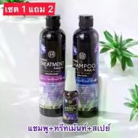 ราคา [COD] ซื้อ 1 แถม 2 แชมพูสมุนไพรอัญชัน แชมพูดอกอัญชัน (แชมพู ทรีทเม้นท์ สเปรย์บำรุง) ยาสระผมอัญชัน (1731907364705109097)